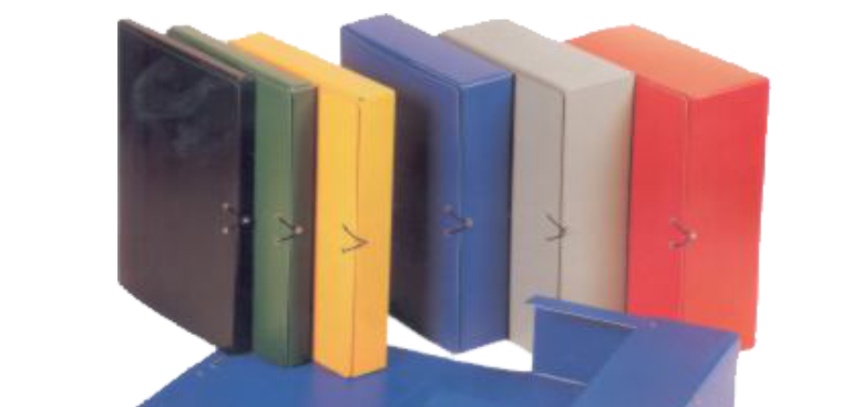 CAPSES DE PROJECTE I FITXERS